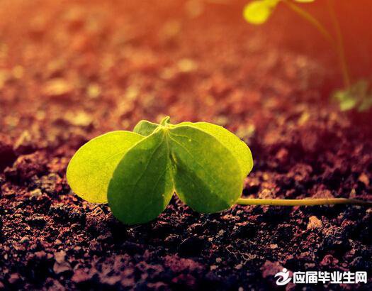 成长心理学:人生就是排队走,不用着急往前跑