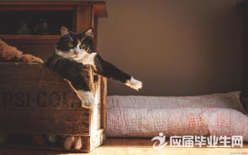 ��γ��׷�������