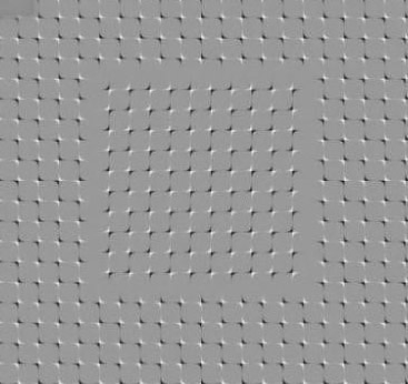 ���������83������ѧͼƬ�������㣡