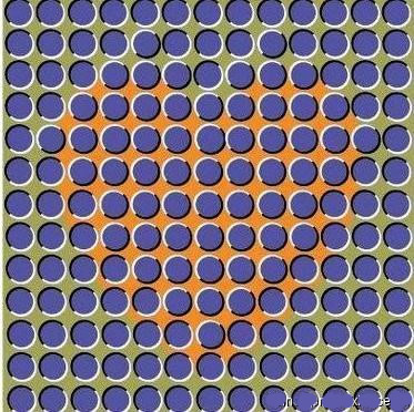 ���������83������ѧͼƬ�������㣡