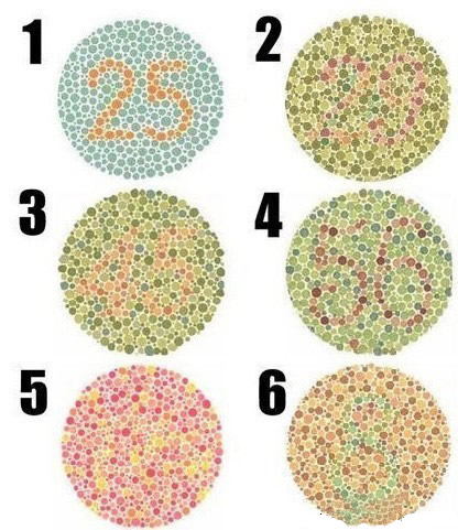 ���������83������ѧͼƬ�������㣡