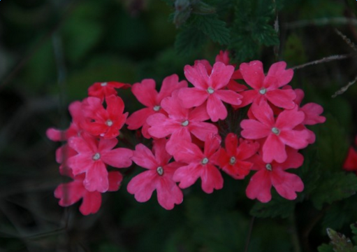 追女生聊天的7个技巧 追女生聊天的7个技巧