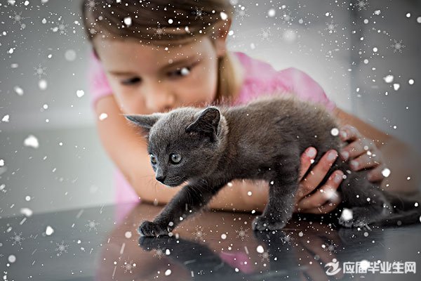 测试看看你让人疼爱的指数