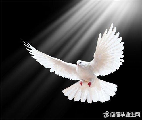 Ϊʲôѹ������ᵼ�·�����?