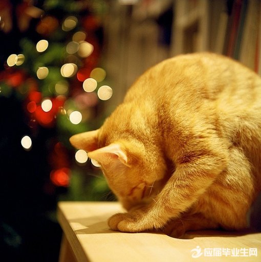 ѹ��̫���Ļ���������