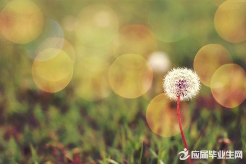 ���ؽ���֢��λ���