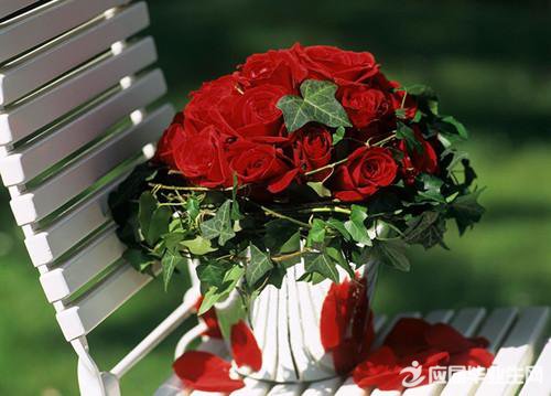 从买花可以测出你的感情奉献度