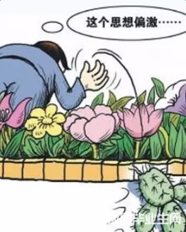 �Ը�������ϵ�ƫ����һ����������