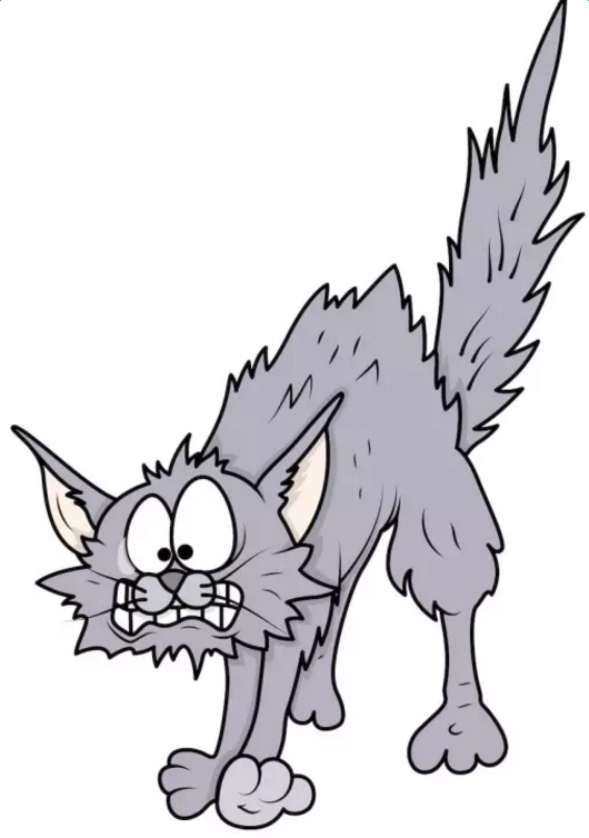 �������ԣ�������������ʲô?