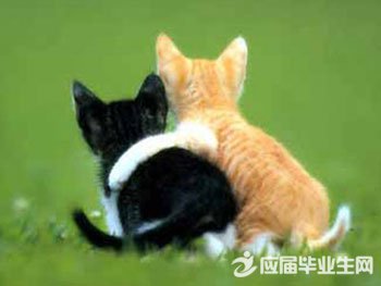 ����������ѽ�������