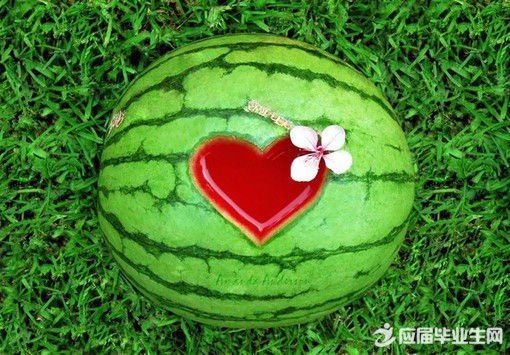 ����ʲô����������������