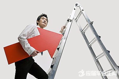 如何成为职场上的大树