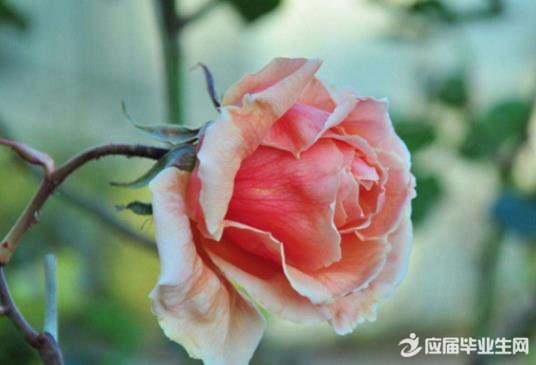 ���������˵�18�������