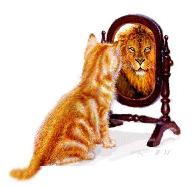 ������������ʶ�Լ�